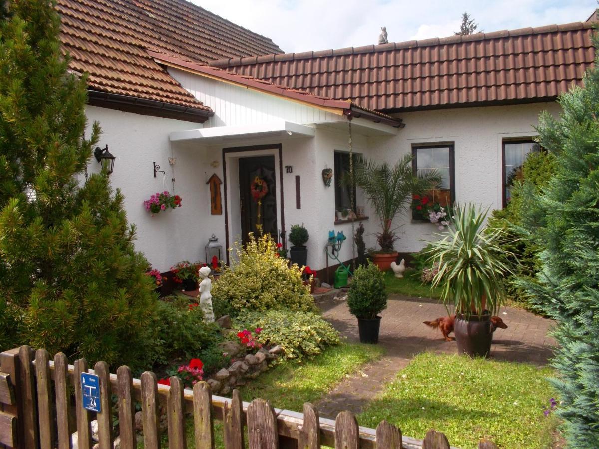 Ferienwohnung Lotti Wittenberg Exterior photo
